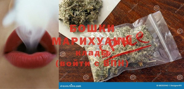 прущие грибы Сатка