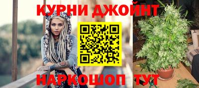 стафф Заволжье