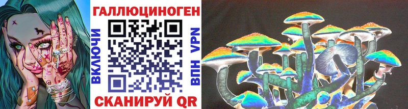 где купить наркоту  omg ссылка  Псилоцибиновые грибы Cubensis  Горно-Алтайск 