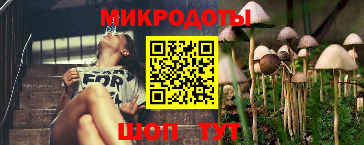 Псилоцибиновые грибы Magic Shrooms Горно-Алтайск